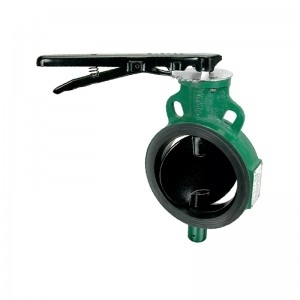 Picture for category BUTTER FLY VALVES